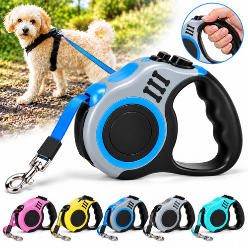 Retractable dog lead - dog,