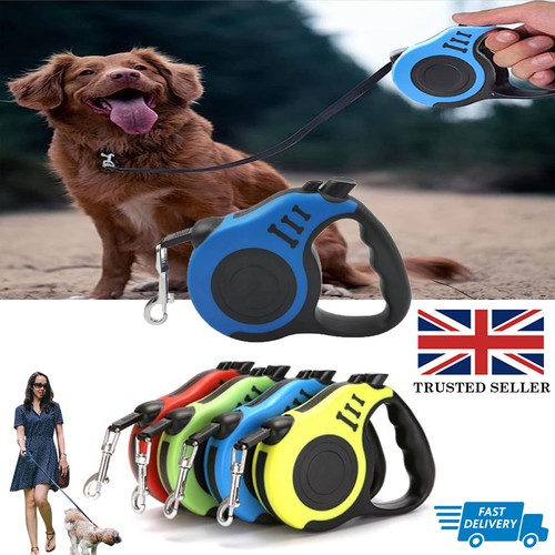 Dog lead retractable - dog,
