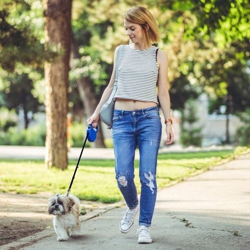 Retractable dog pet - retractable, leash