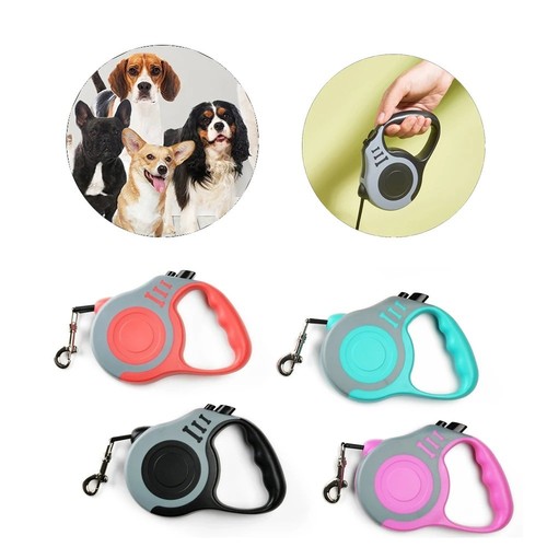 Retractable dog lead - dog,