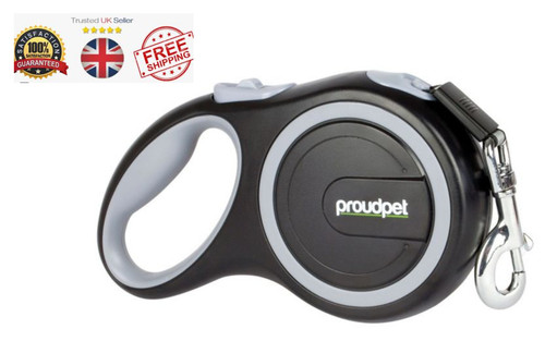 Retractable dog lead - dog, pet