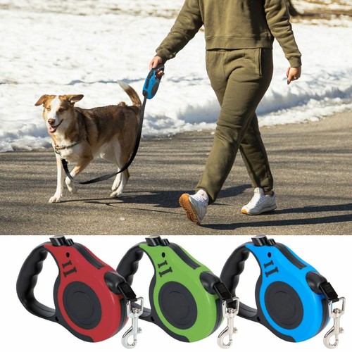 Retractable dog lead - dog,