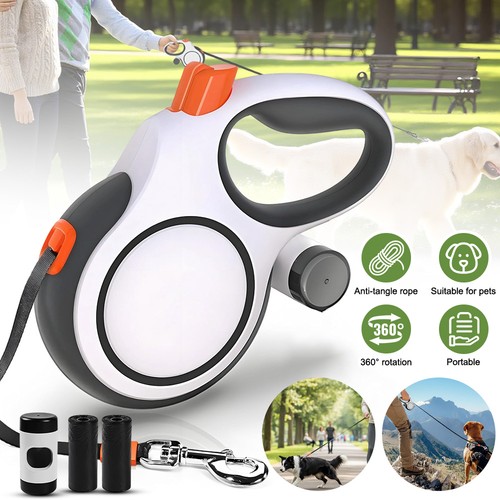 Retractable dog lead - dog,