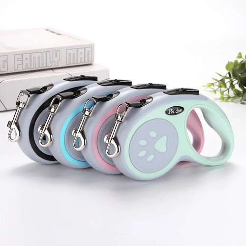 Retractable dog lead - dog,
