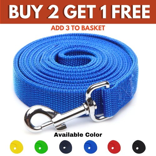 Dog long line recall - line, lead