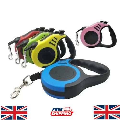 Retractable dog lead - dog,