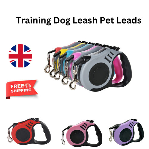 Retractable dog lead - dog,