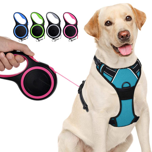Retractable dog lead training - retractable,