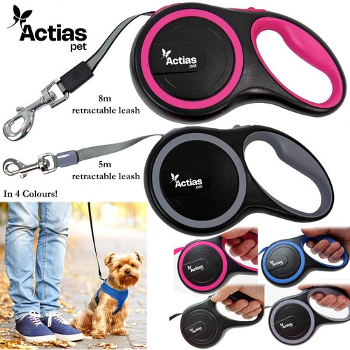 Retractable dog lead training - dog,