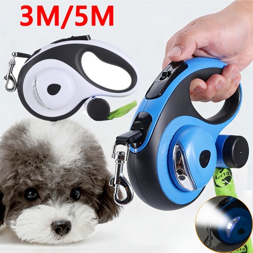 Retractable dog lead training - dog,
