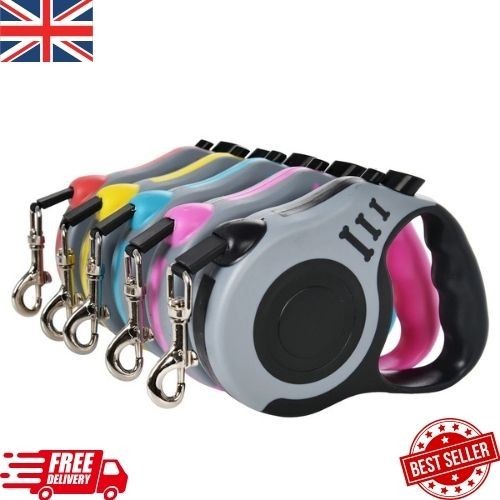 Retractable dog lead - dog,