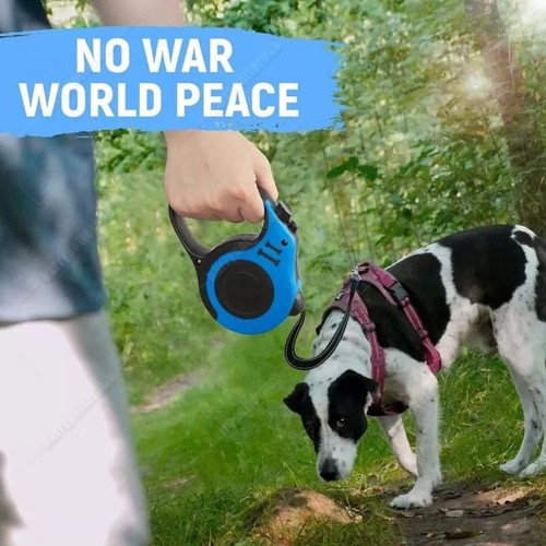 Retractable dog lead - dog, 5m