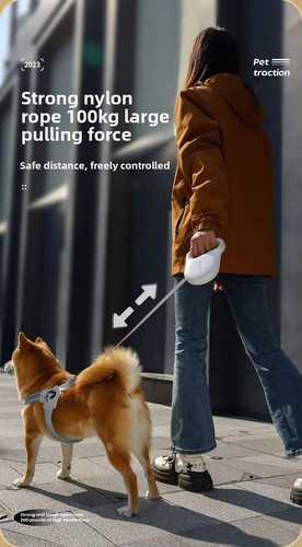 Automatic retractable dog - automatic,