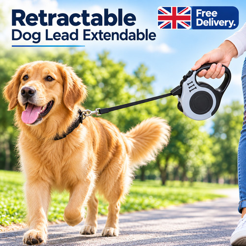 Retractable dog lead - dog,