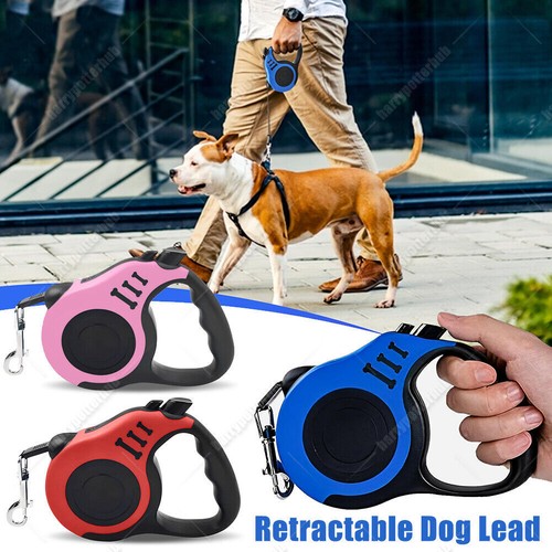 Retractable dog cat - dog, lead
