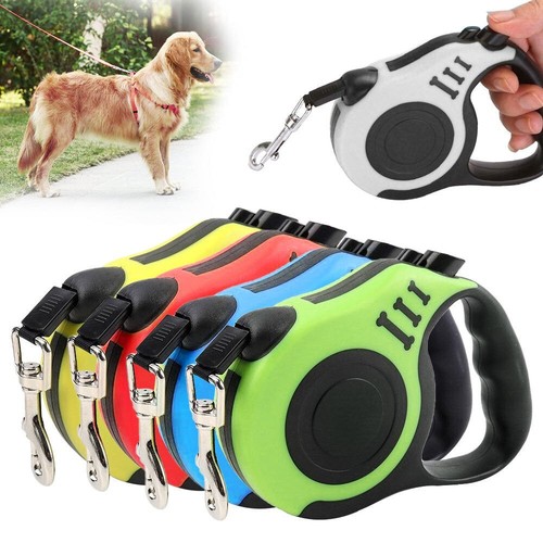Retractable dog lead training - lead,