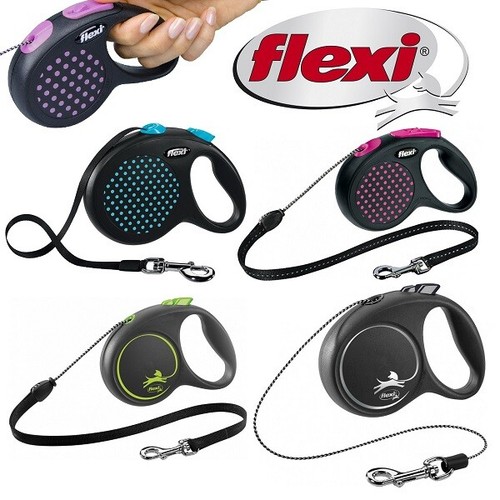Flexi dog lead - dog,