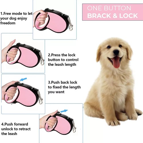 Retractable dog lead training - lead,