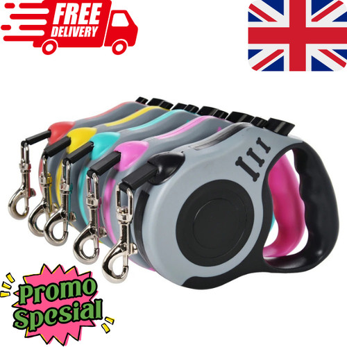Retractable dog lead - dog,