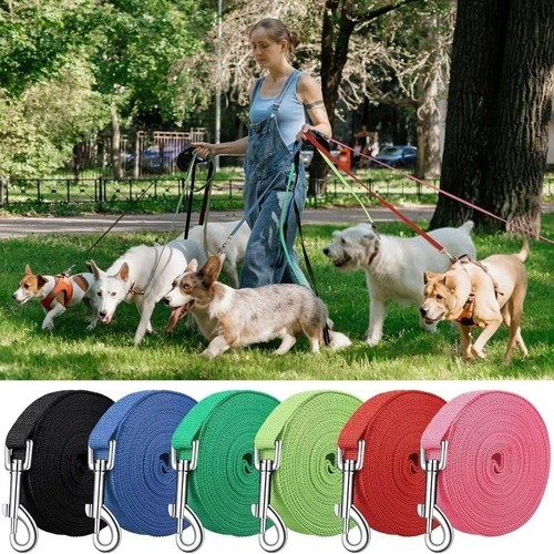 Dog training lead 3ft - training,