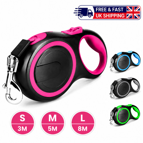 Retractable dog lead - dog,